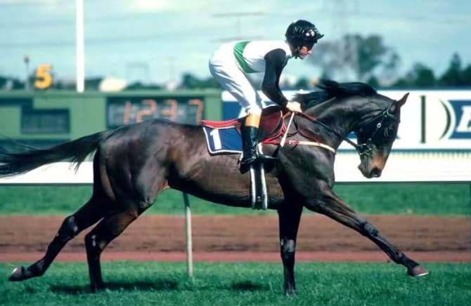 Matt Hill names his favourite horse of all time