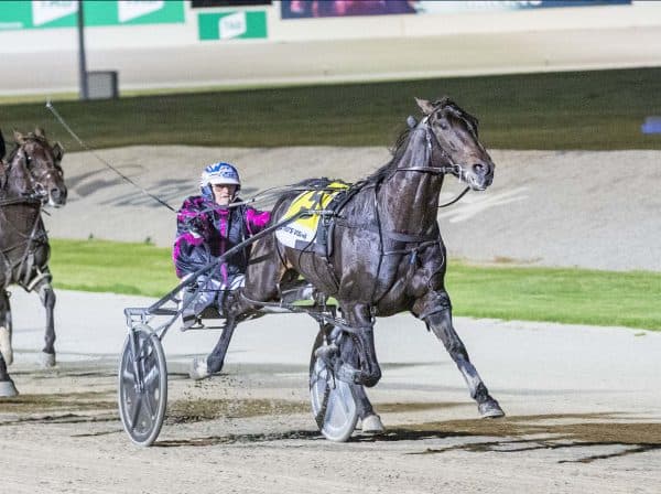Tim Forster Racing SEN Track: Tim O'Connor's Friday night Harness Racing Tips