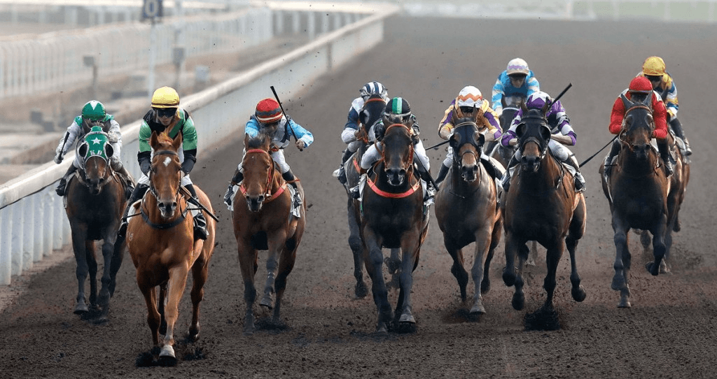 Sha Tin Tips: Luke Middlebrook’s Picks | 28 October