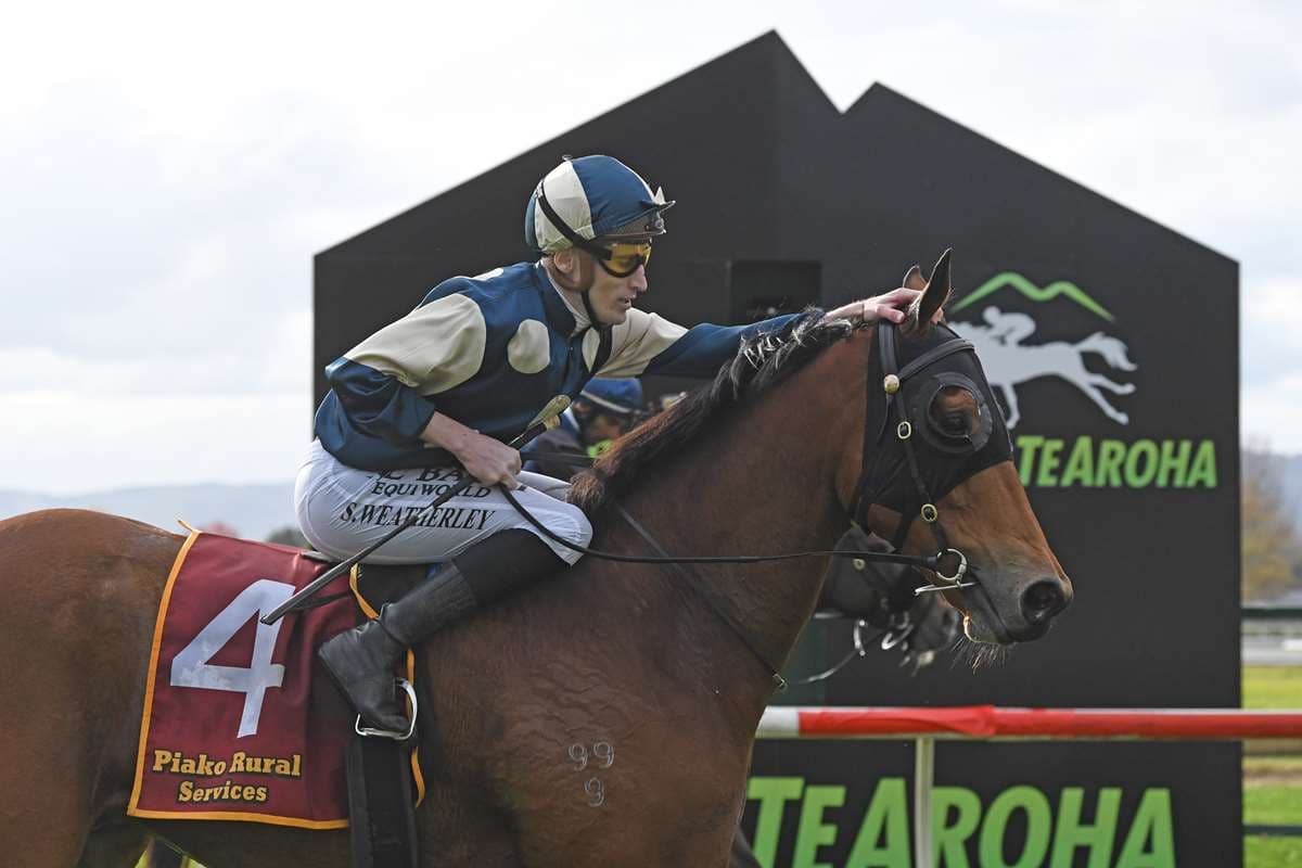 Wayne Wilson the next best thing for Pier