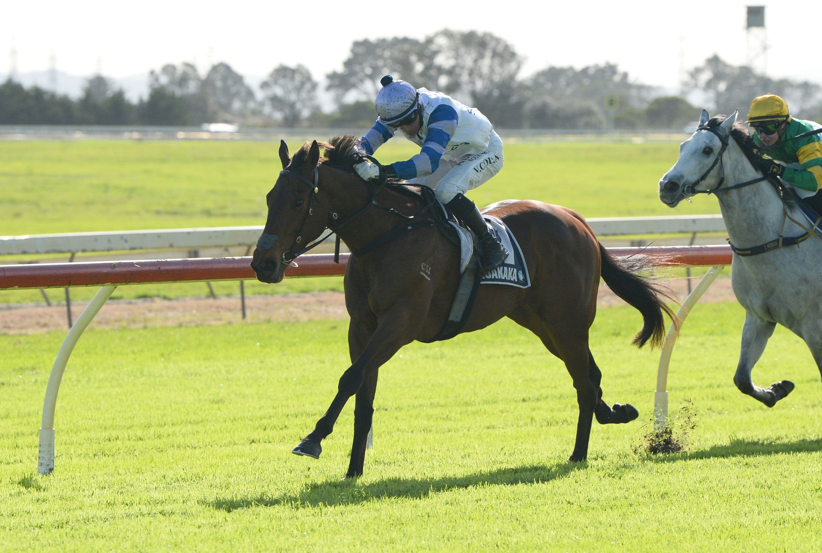 Logan hoping return north can revitalise Group Three performer