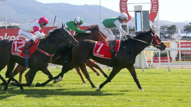 Tasracing’s Sunday best bets at Hobart (31/08)