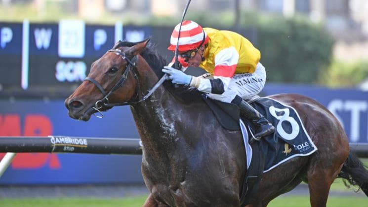 Free Bird set to take flight at Ellerslie