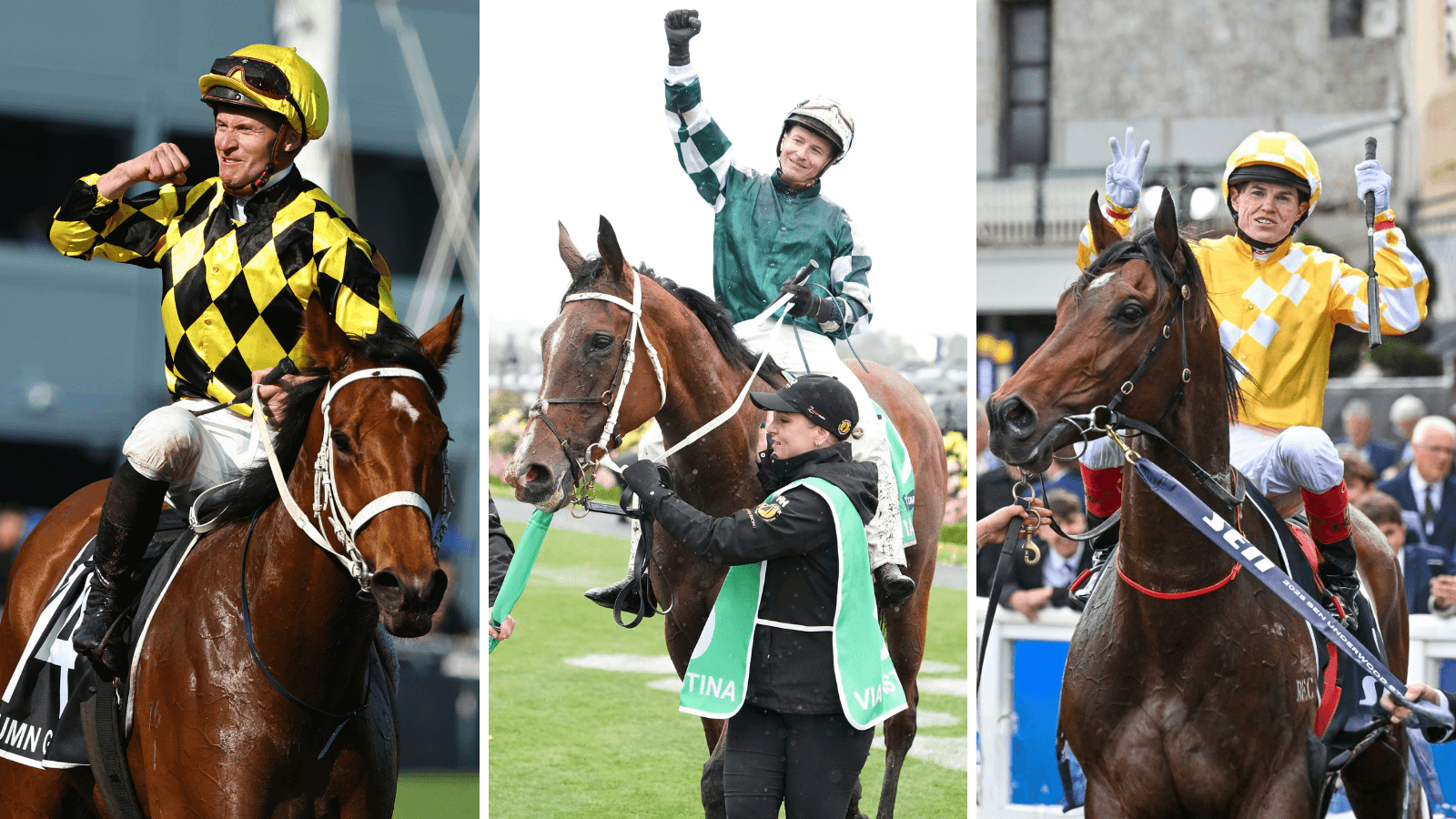 Who are the top five horses in Australia?