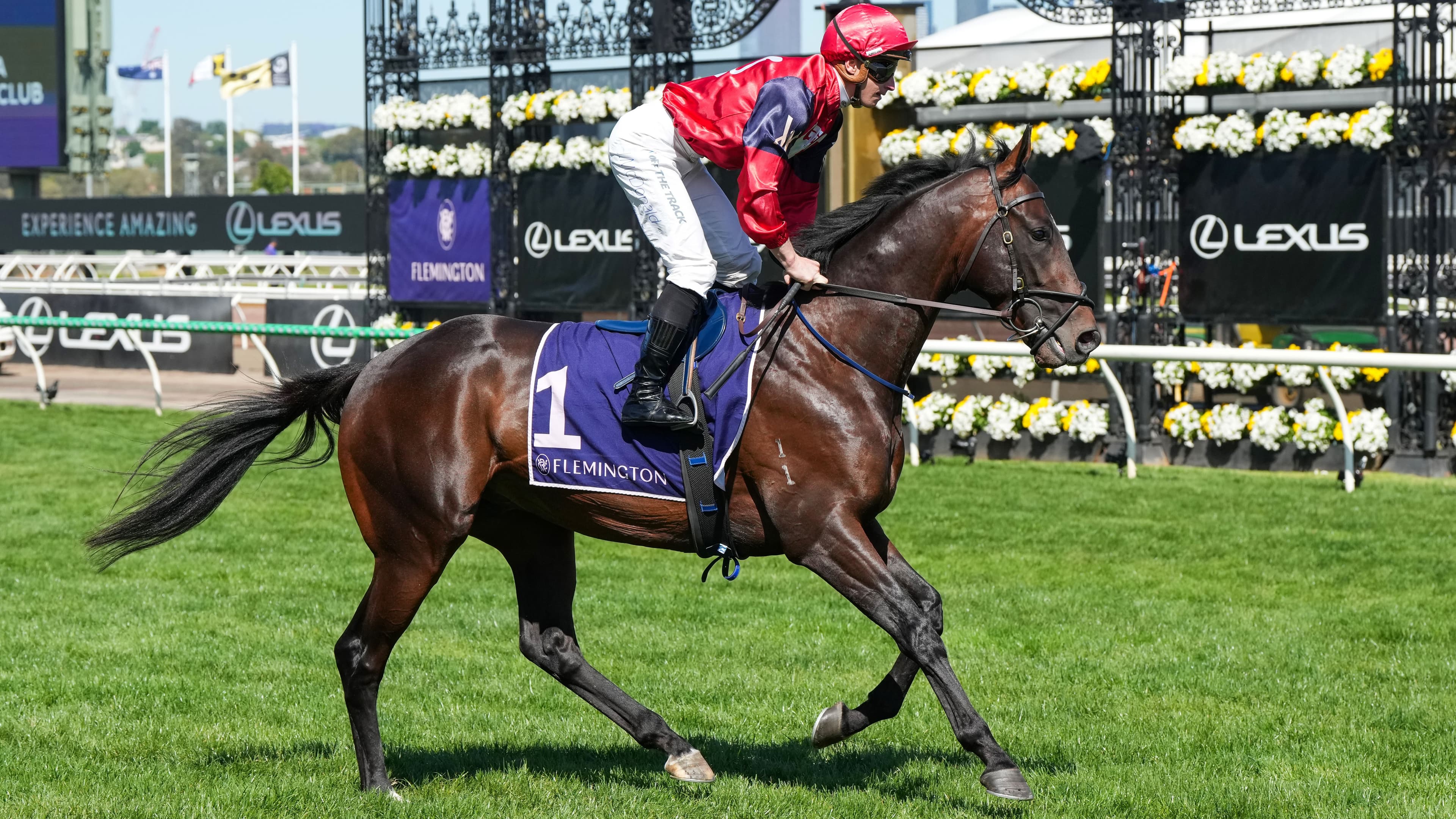 Burgeoning NZ prizemoney lures international raiders