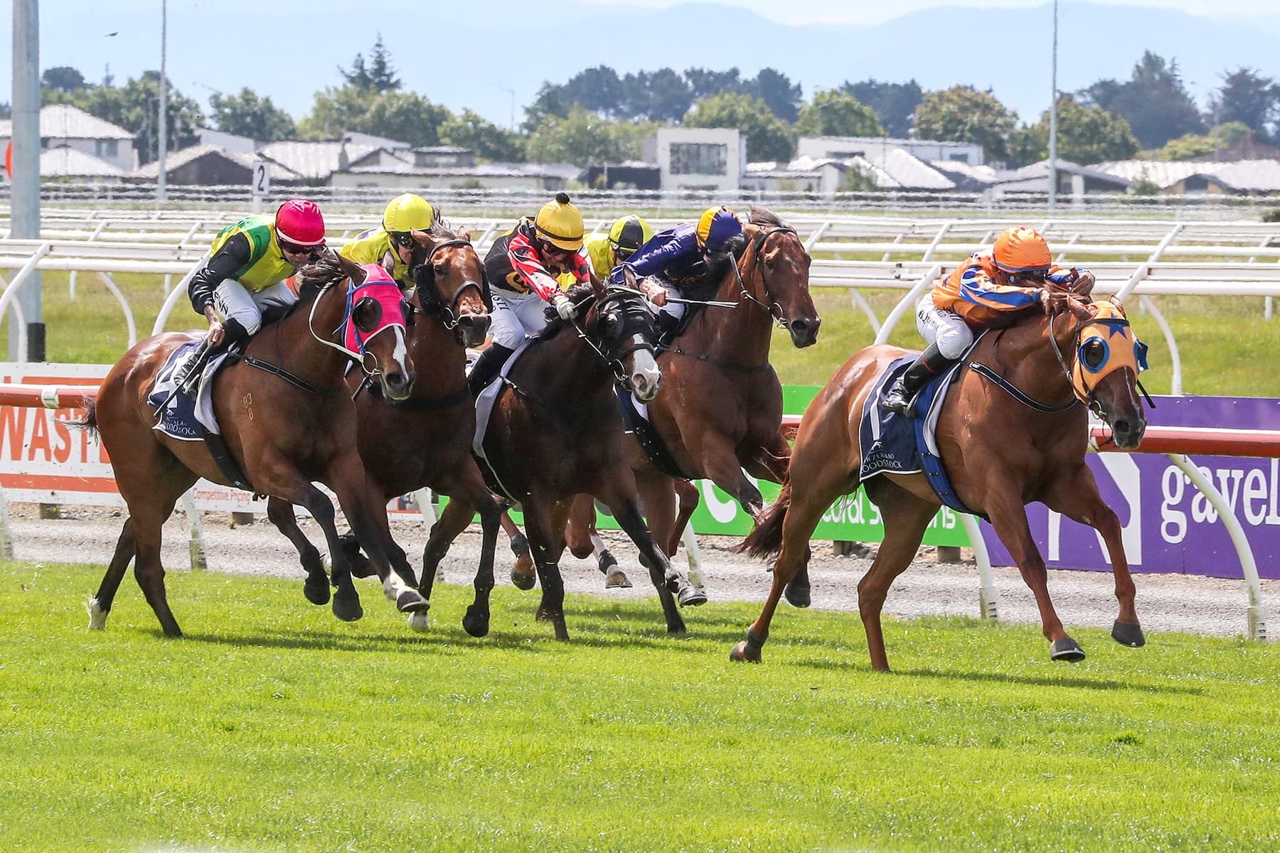 Captured By Love back on top in Breeders’ Stakes