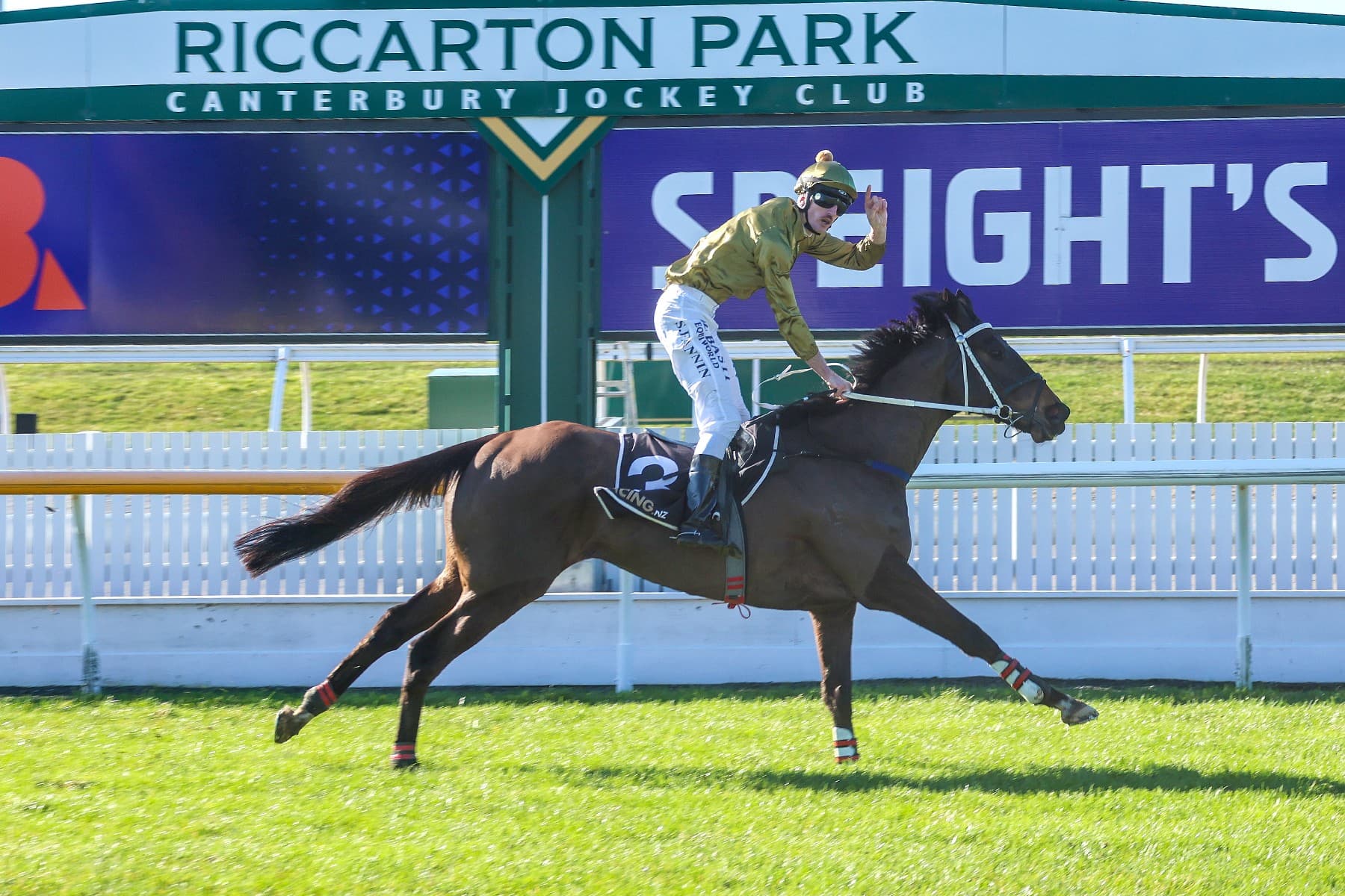 Jesko triumphs in Koral Steeplechase