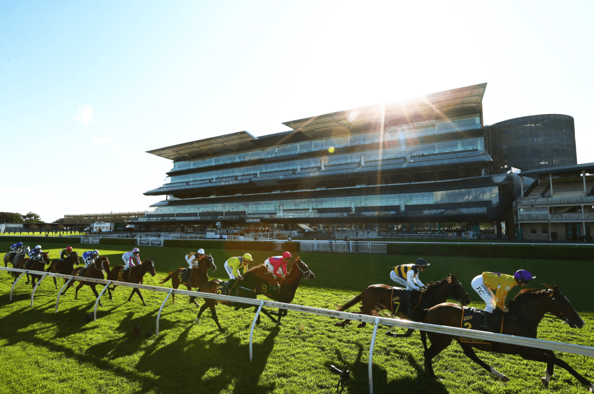 Gannon, Papley & Campbell's Saturday Sydney Set at Randwick (06/03)