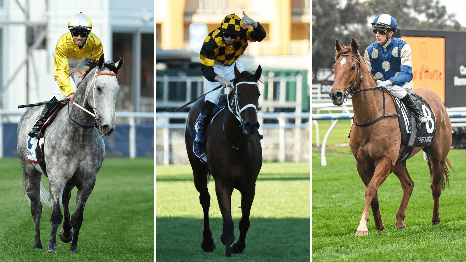 The horse most heavily backed for Everest amid Ka Ying Rising rumours