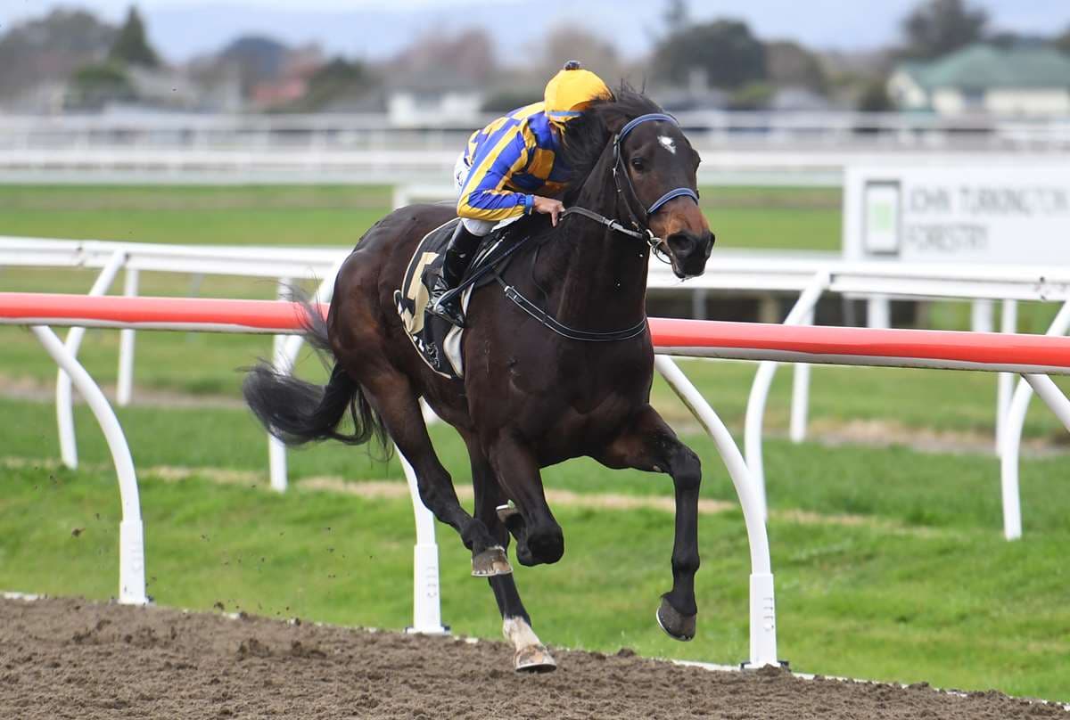 Grays hunting local riches