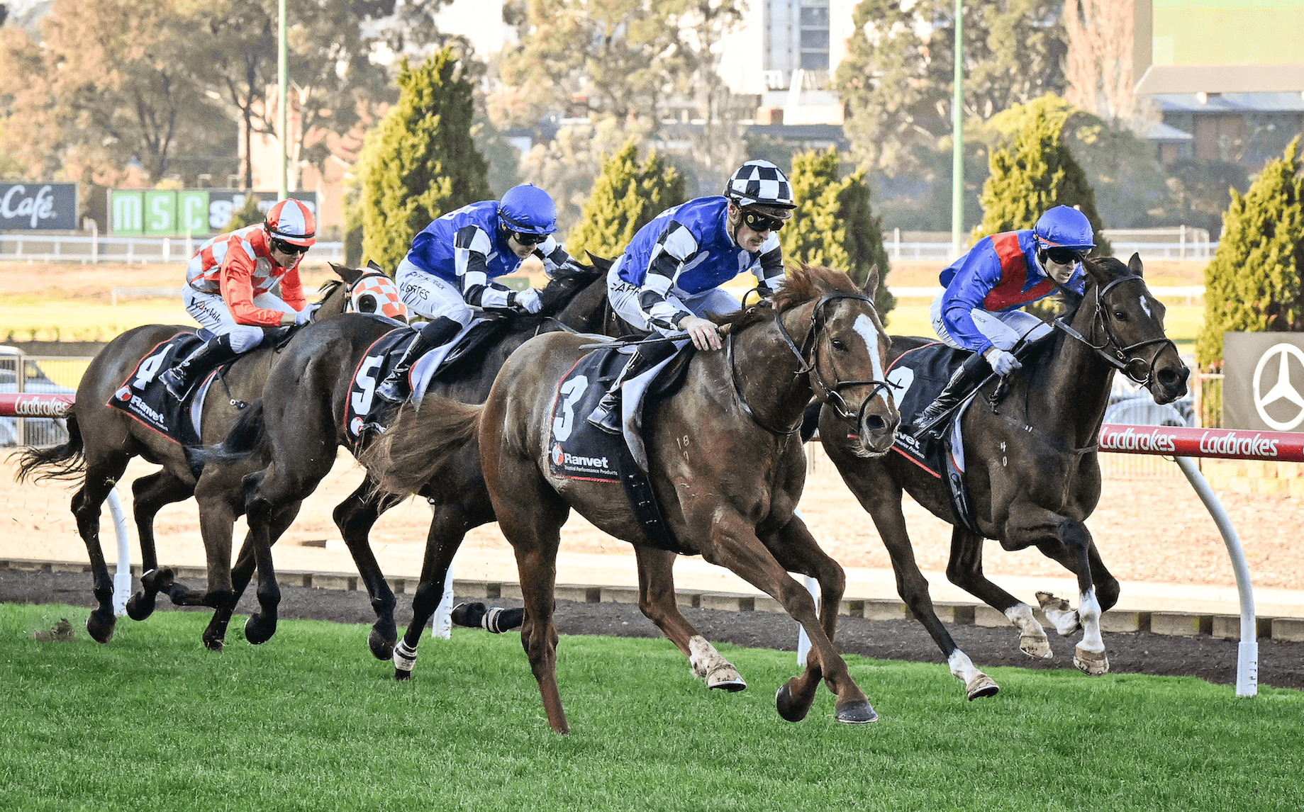 “Scratchy”: Melbourne Cup contender ruled out of spring