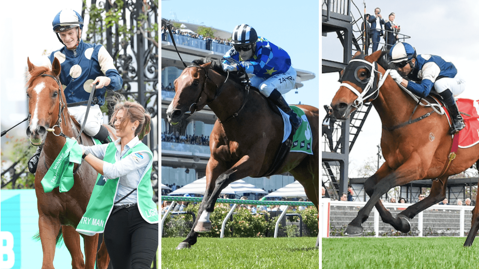 Cam Luke and Miles Pfitzner's Caulfield Cup power rankings