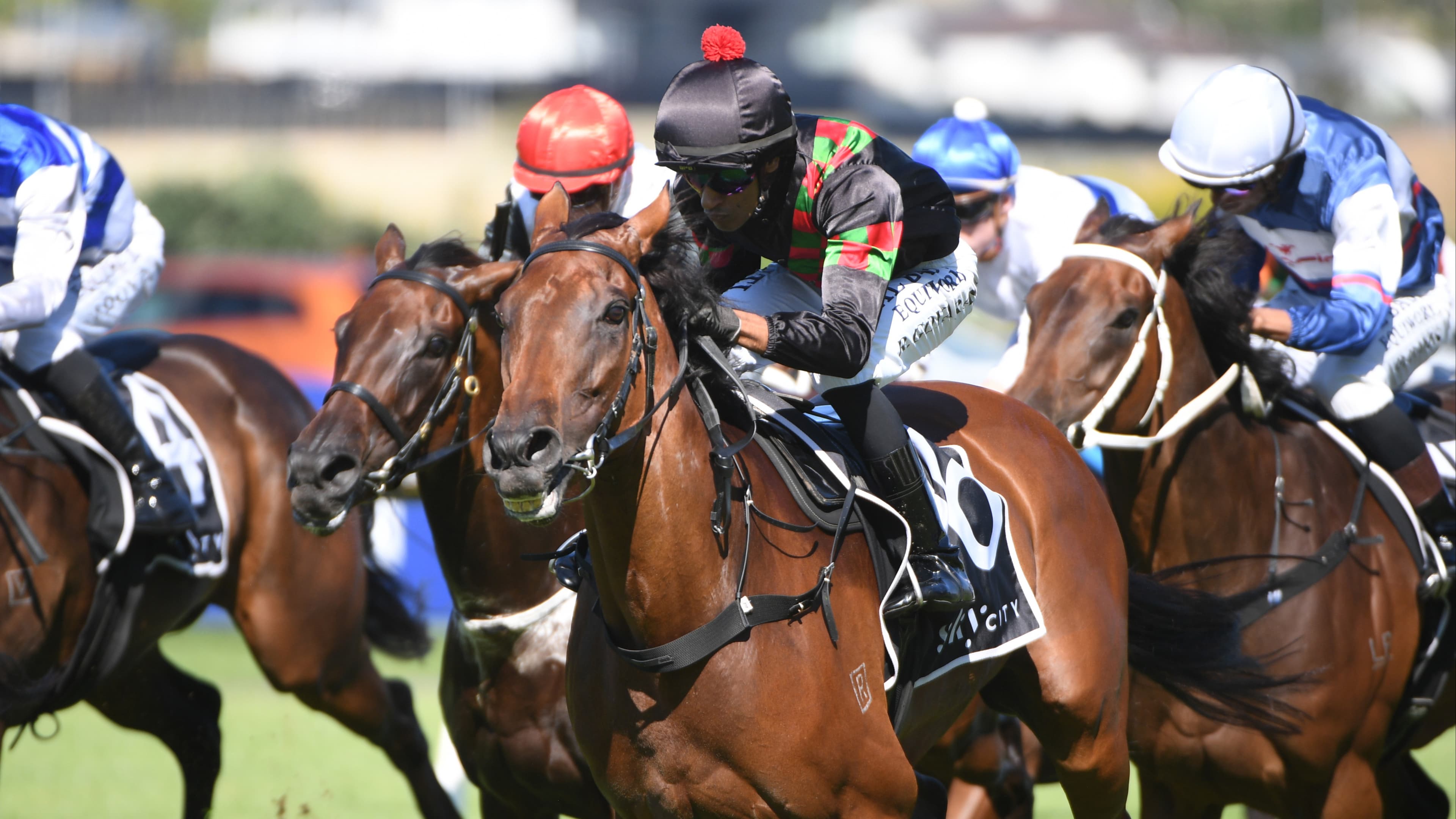 Sorghaghtani gets her shot at black-type