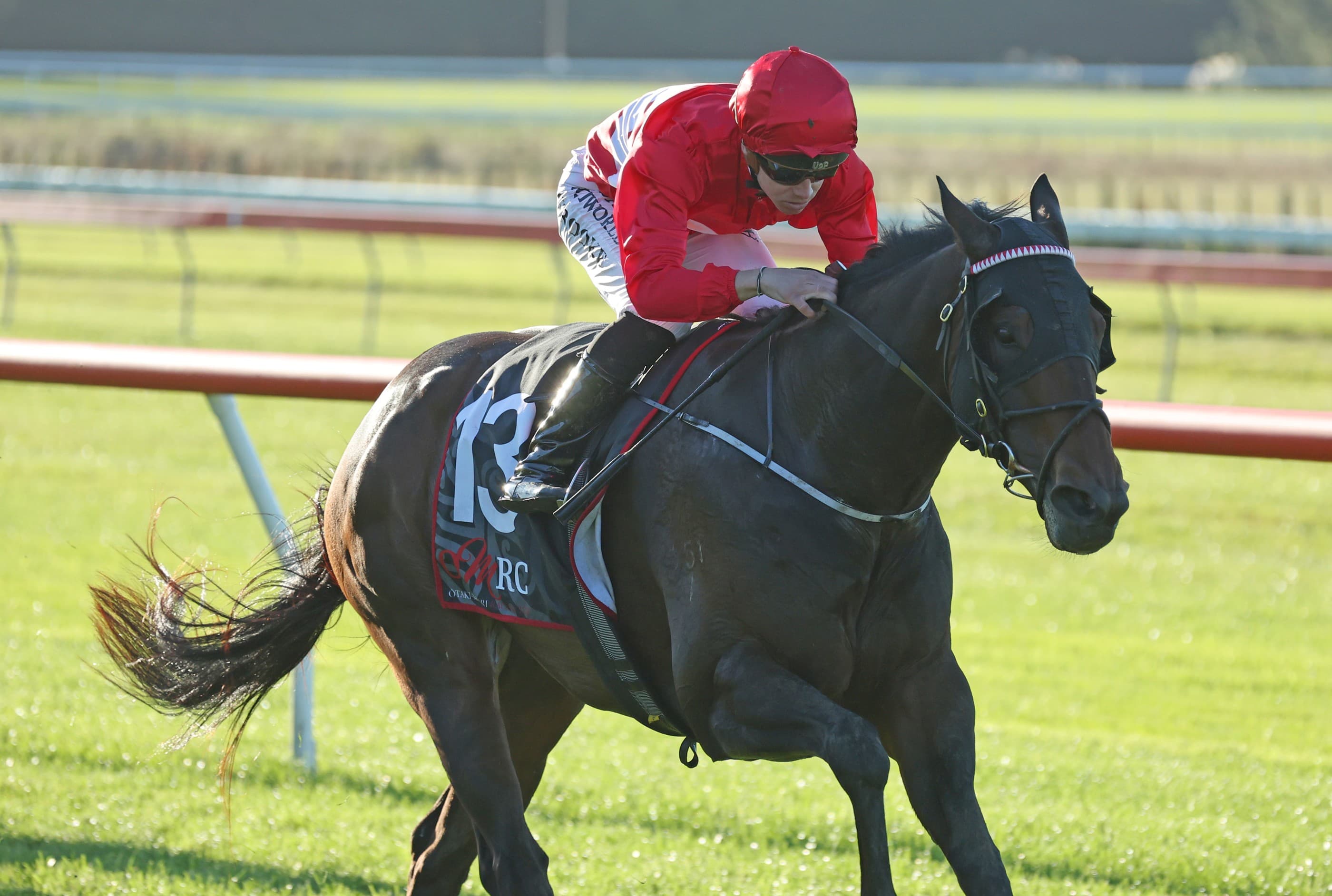 Start crucial to Livamol Classic contender