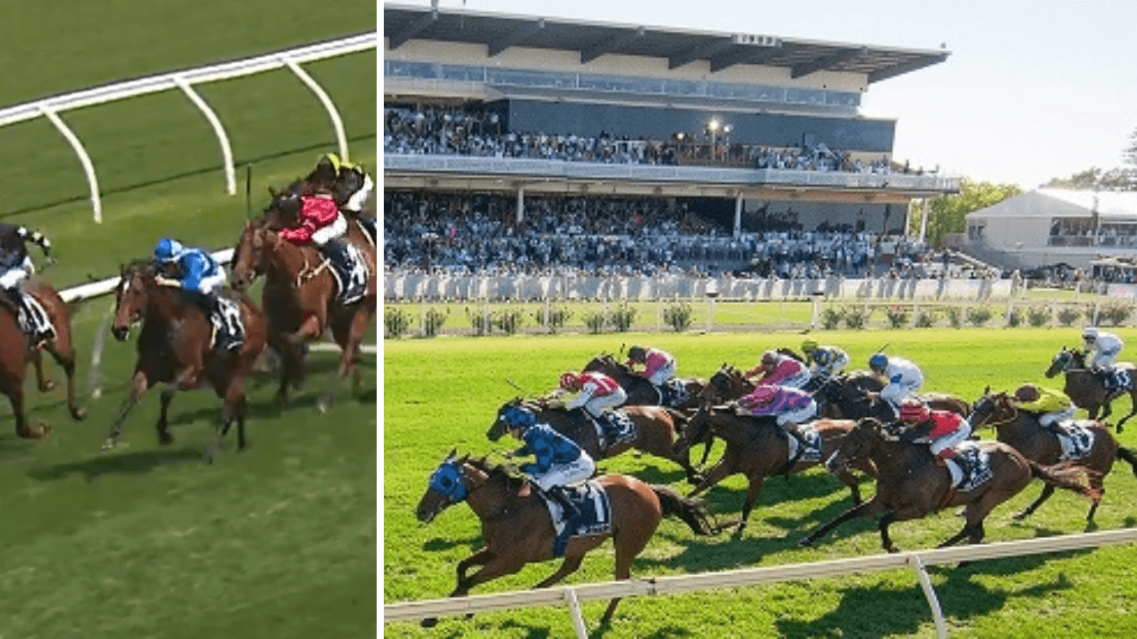 "Another level": Brown confident in horse at odds for Northerly