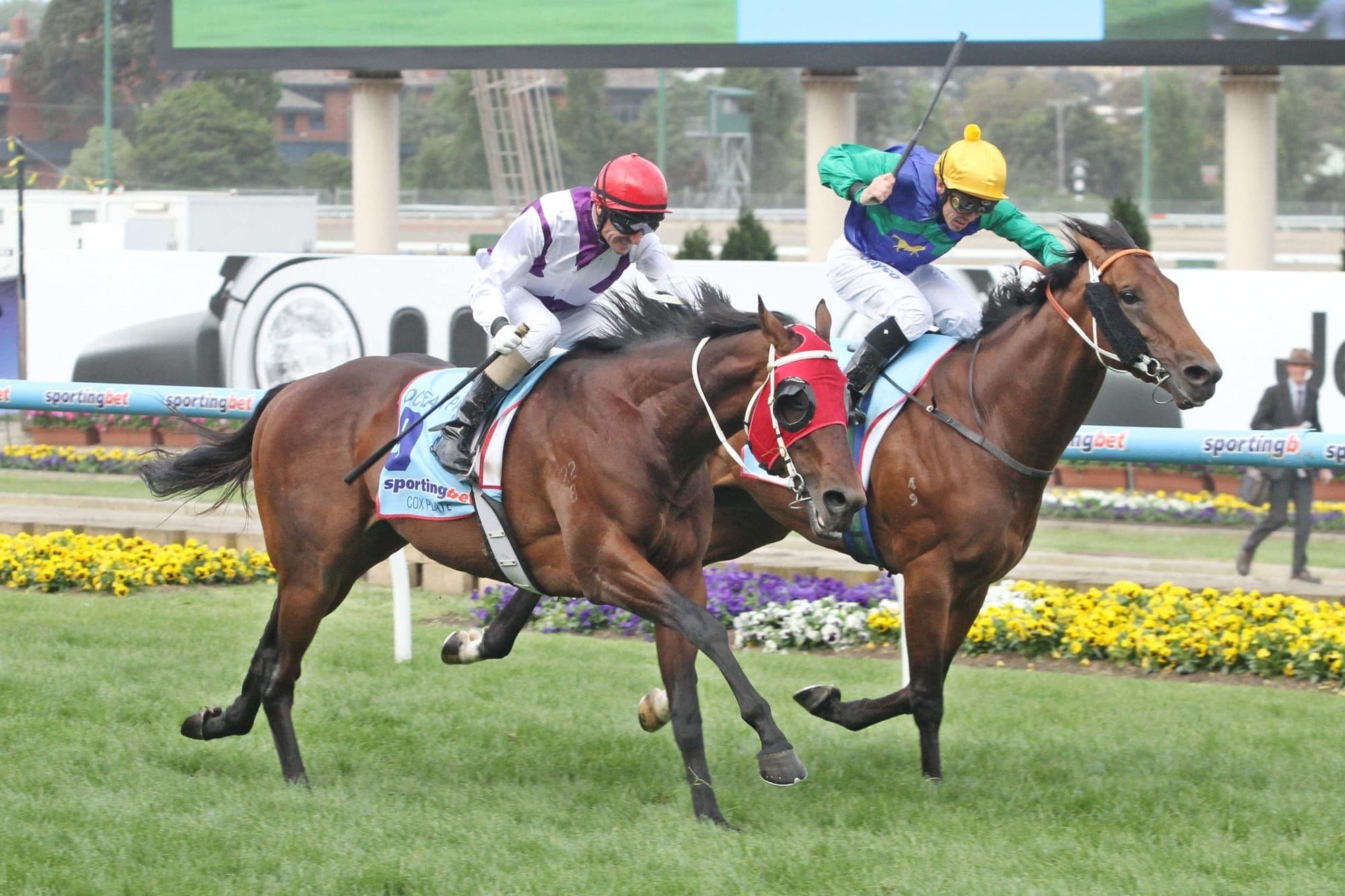 Hennessy reflects on Ocean Park’s Cox Plate heroics