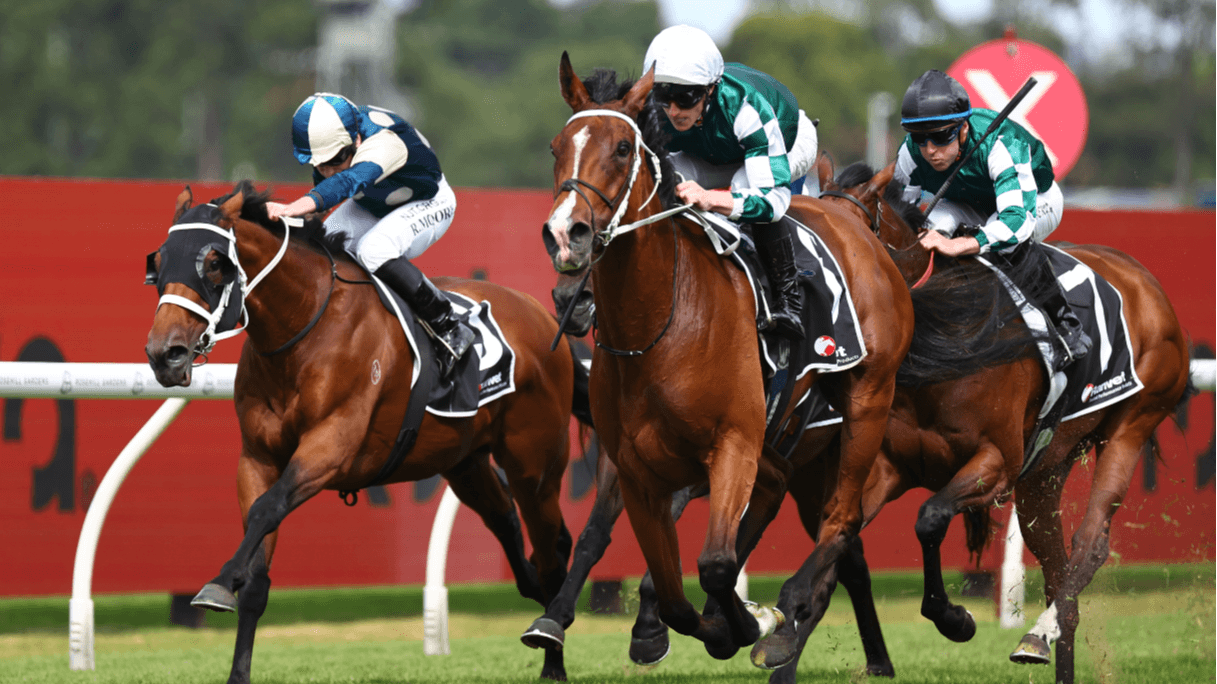 Via Sistina tipped to “put a big hole” in Makybe rivals