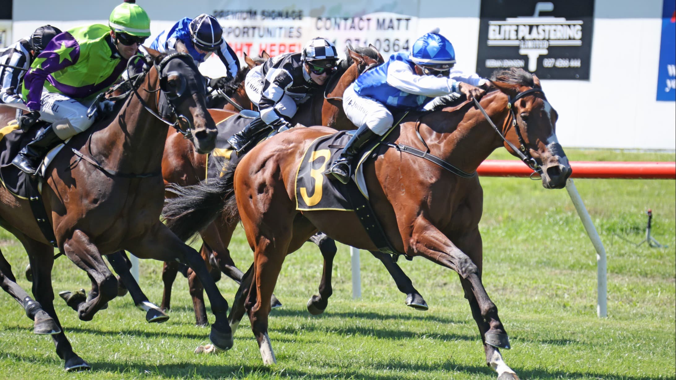 Nigella Lane gets Wairarapa Thoroughbred Breeders’ Stakes revenge