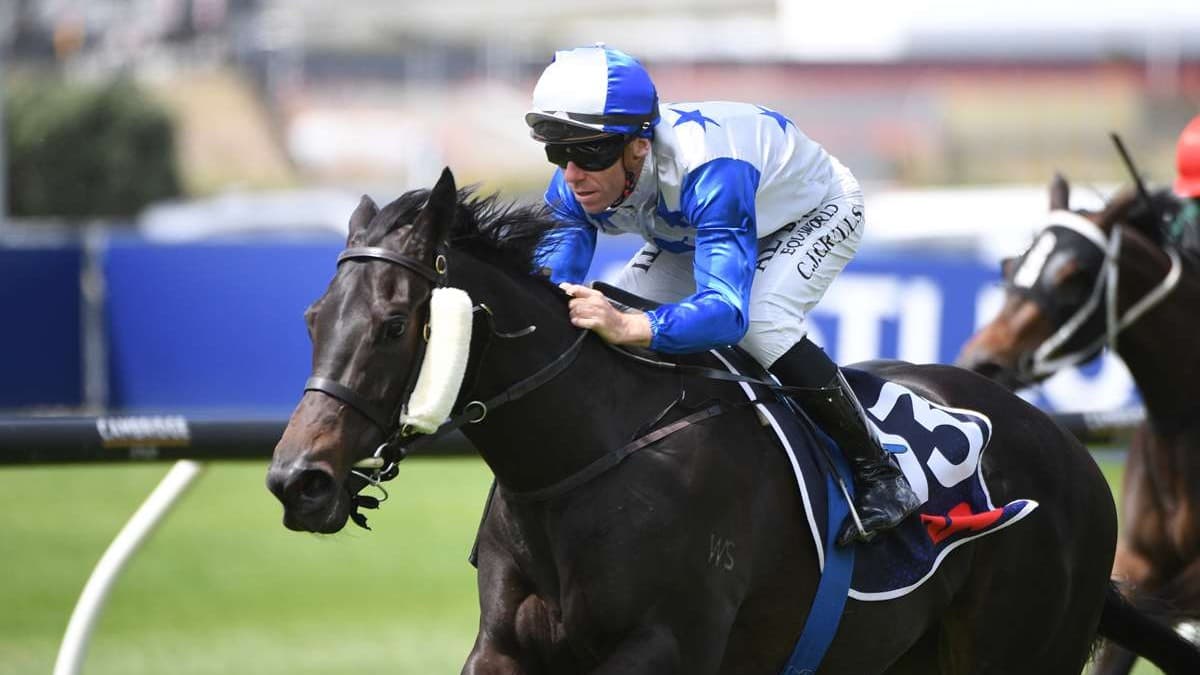 Archer takes aim at $4 million NZB Kiwi