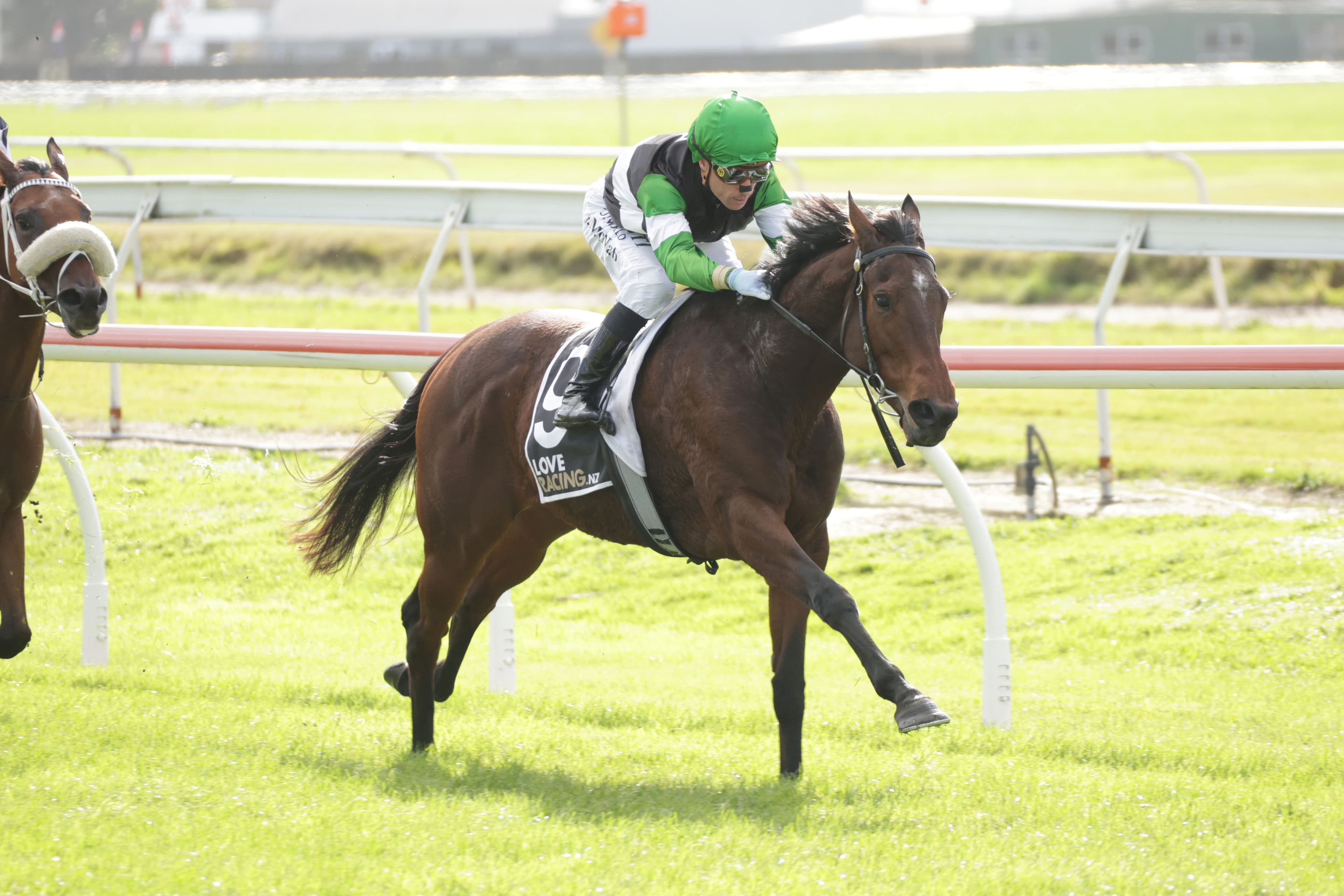 Blinkers key to Loch Katrine’s Otaki chances