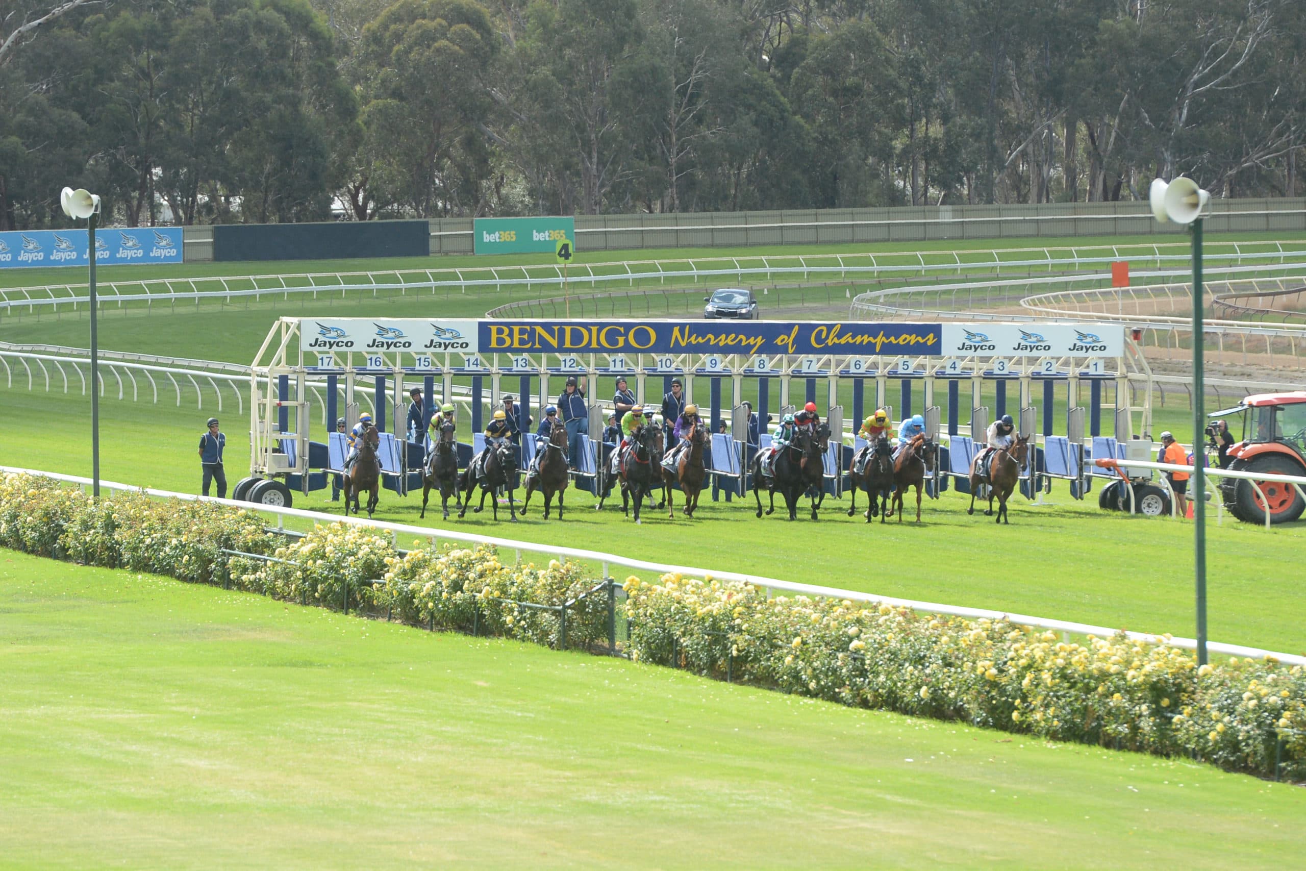 Sunday best bets from Sam Hyland (10/08)