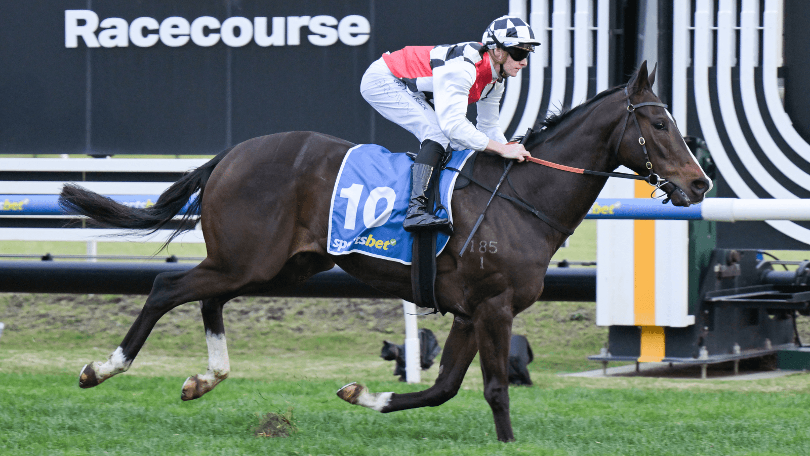 “Isn’t perfect”: Sepals trainer worried about nightmare barrier