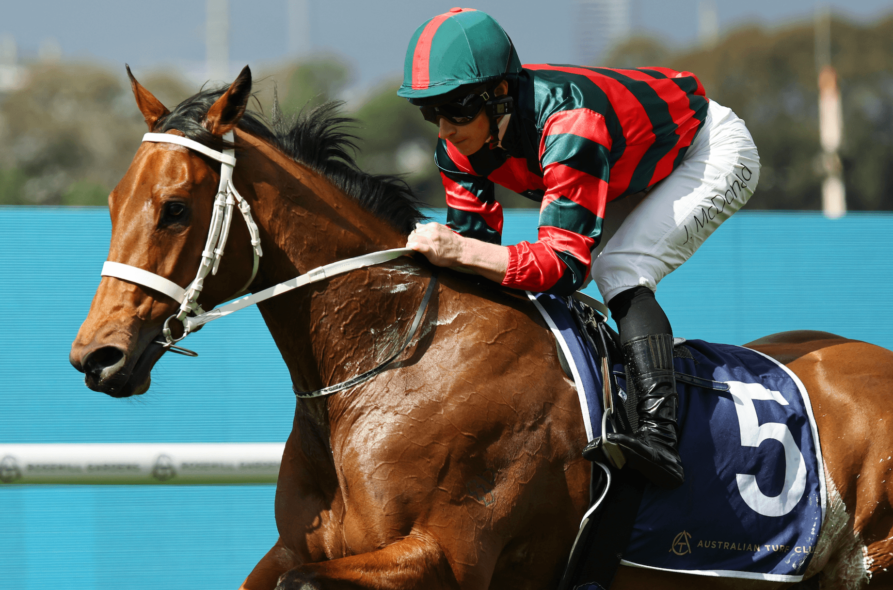 Hallmarks: The storylines to follow this weekend