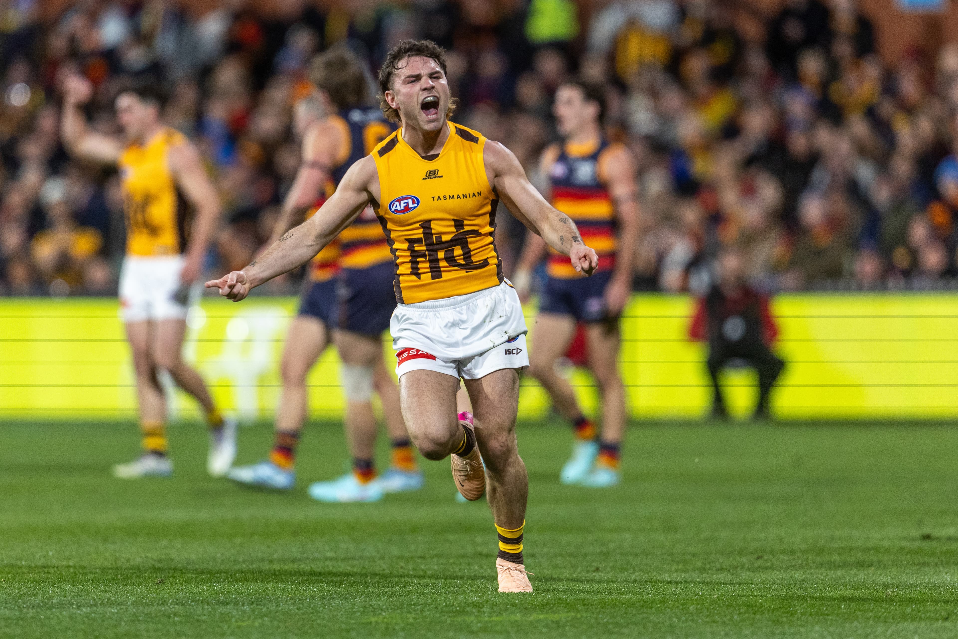 Hawthorn fan favourite inks contract extension