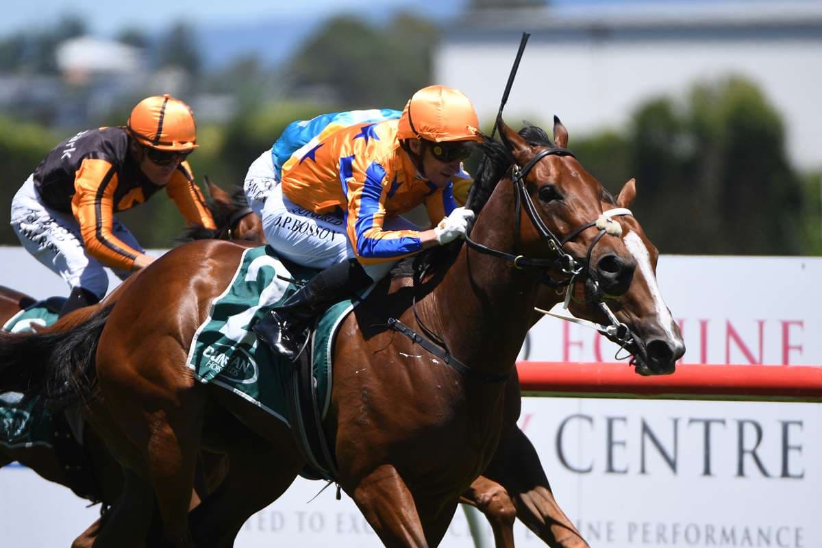 $4 million NZB Kiwi Field Complete