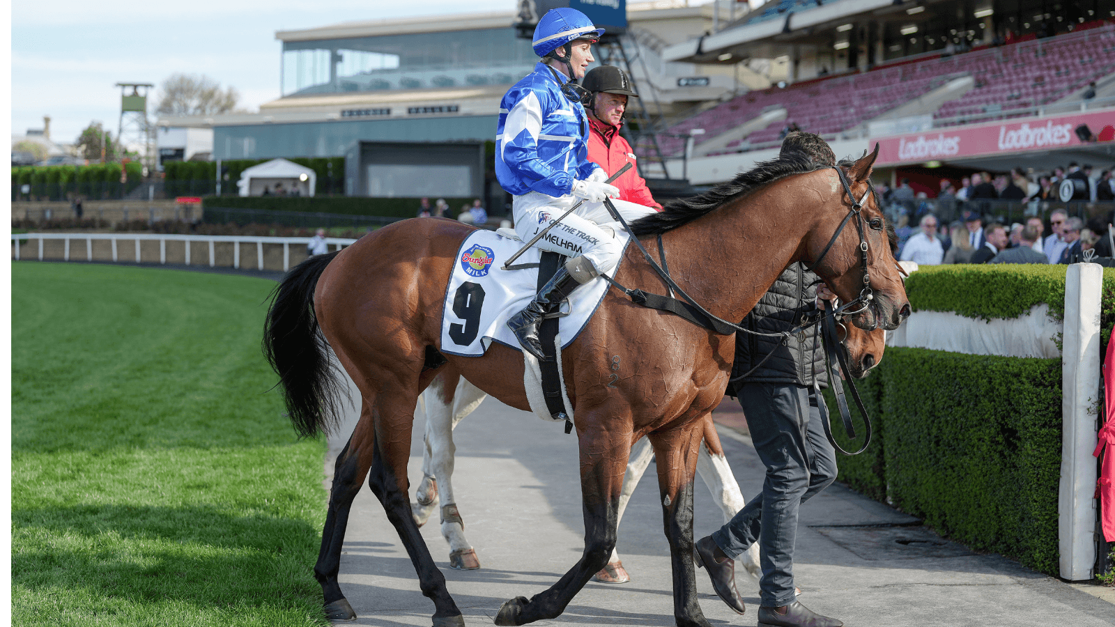 McDonald: Rosberg wins the Danehill "9 out of 10" times