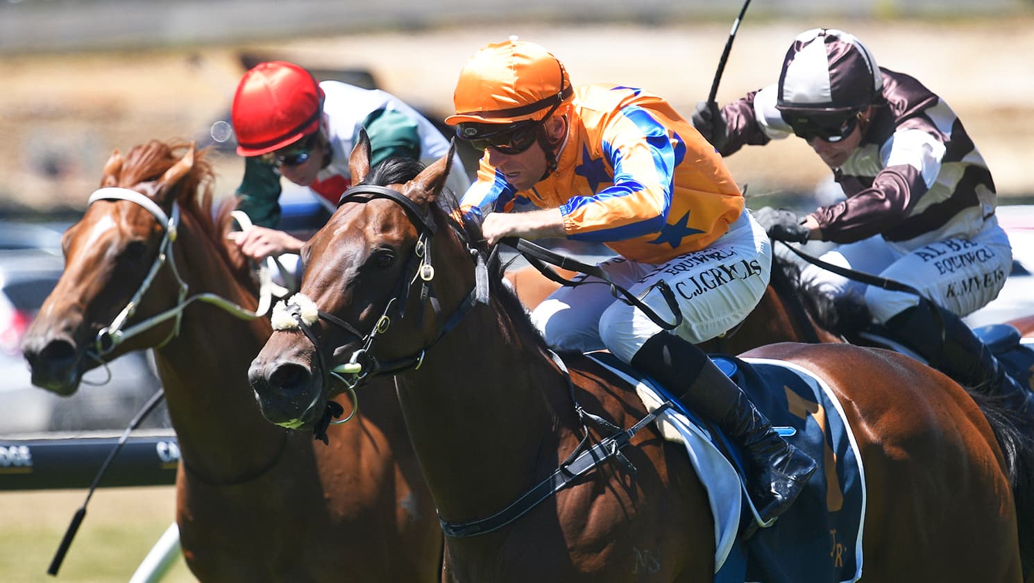 Brave colt flying Nearco flag for Karaka Millions