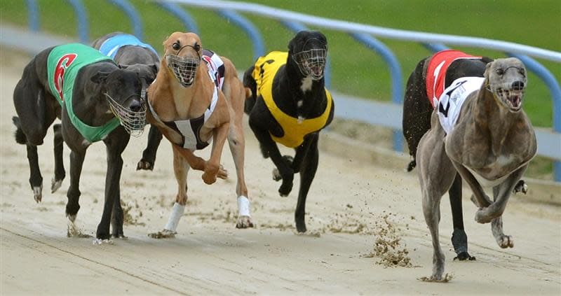 Mitch Ebeyer's Thursday Focus and best bets at Q2 Parklands (02/04)