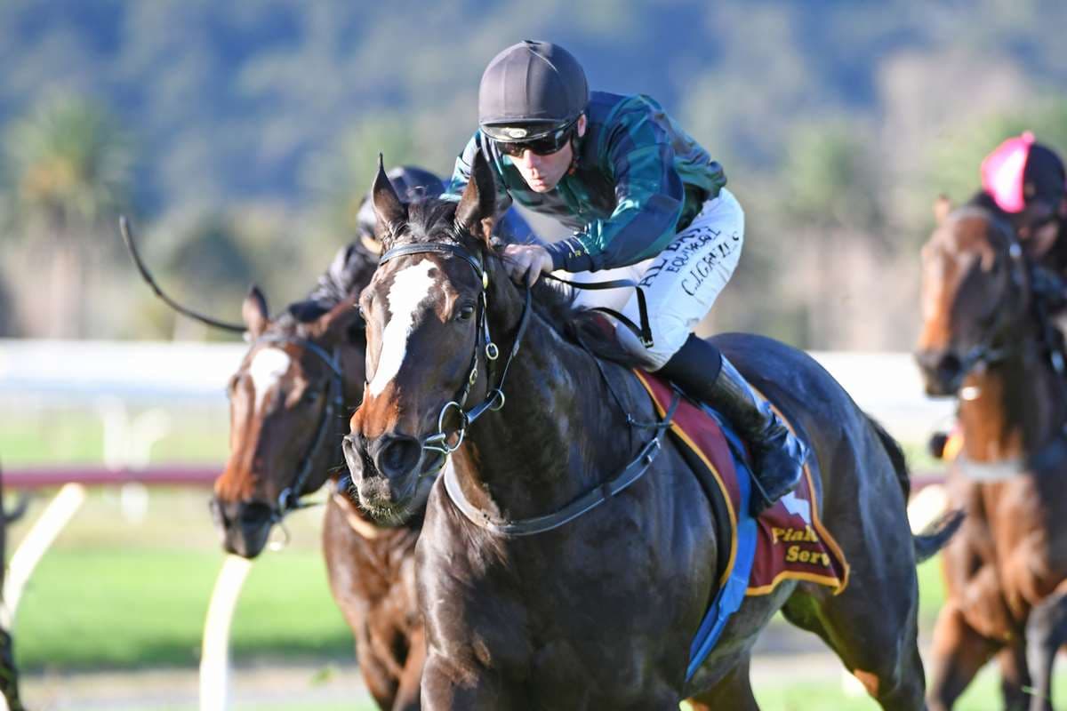 High hopes for youthful spring aspirants