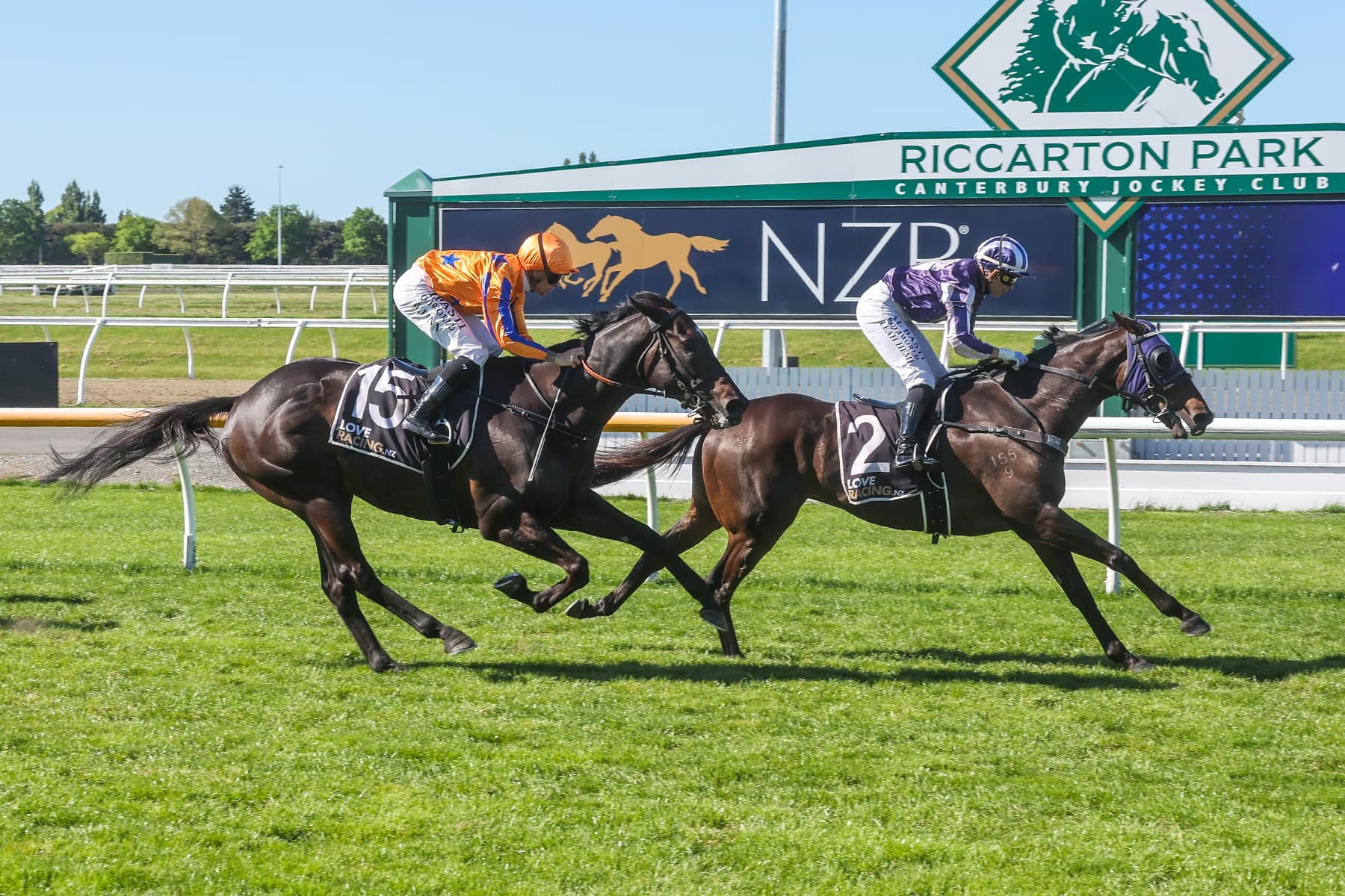 Sir Albert back to his best at Riccarton