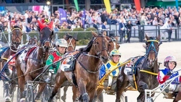 SEN Track: Tim O'Connor's Friday night Harness Racing Tips at Geelong (07/02)