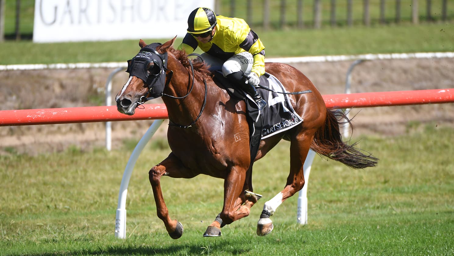 Churchillian back to her best in Tauranga victory
