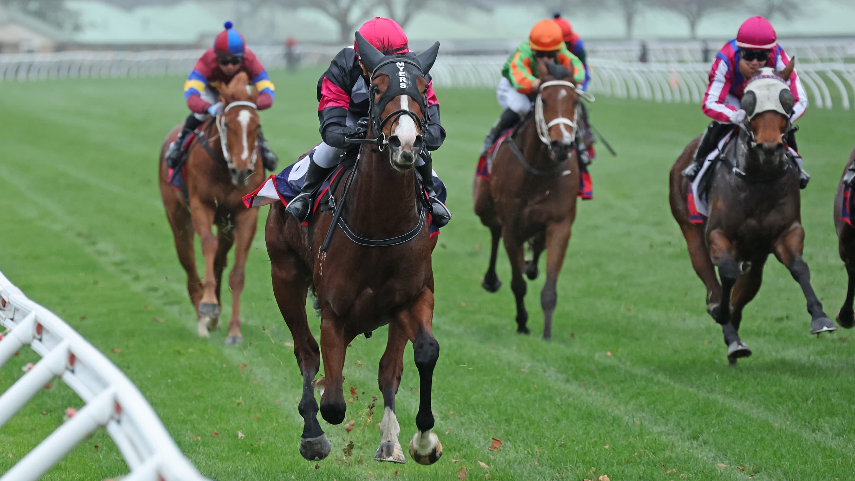 Taupō test awaits promising filly