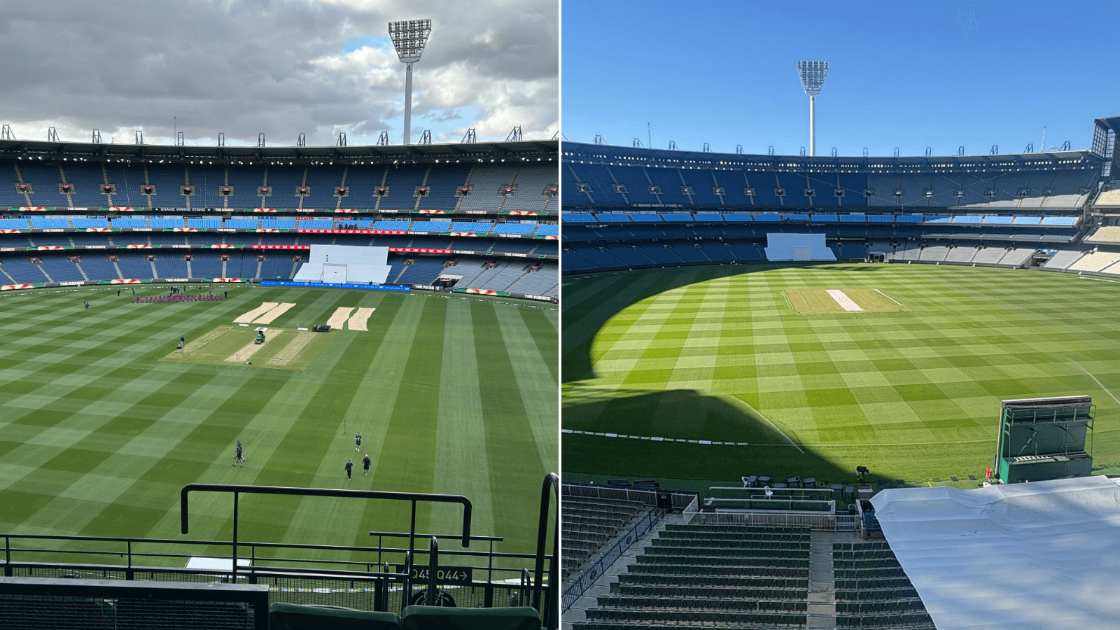 Elephant in the room: Can MCG curator be solely to blame?