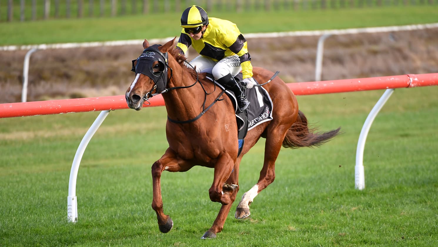 Pike has healthy respect for Foxbridge favourite