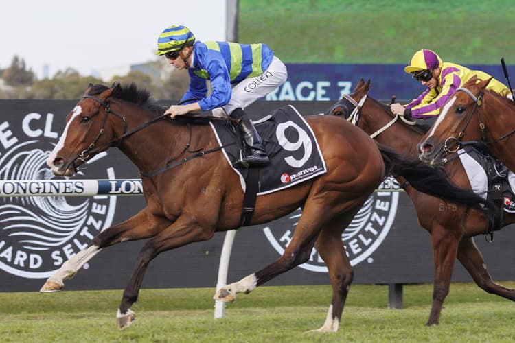 “I'm very keen”: Mick Gannon’s two-bet play at Caulfield on Saturday