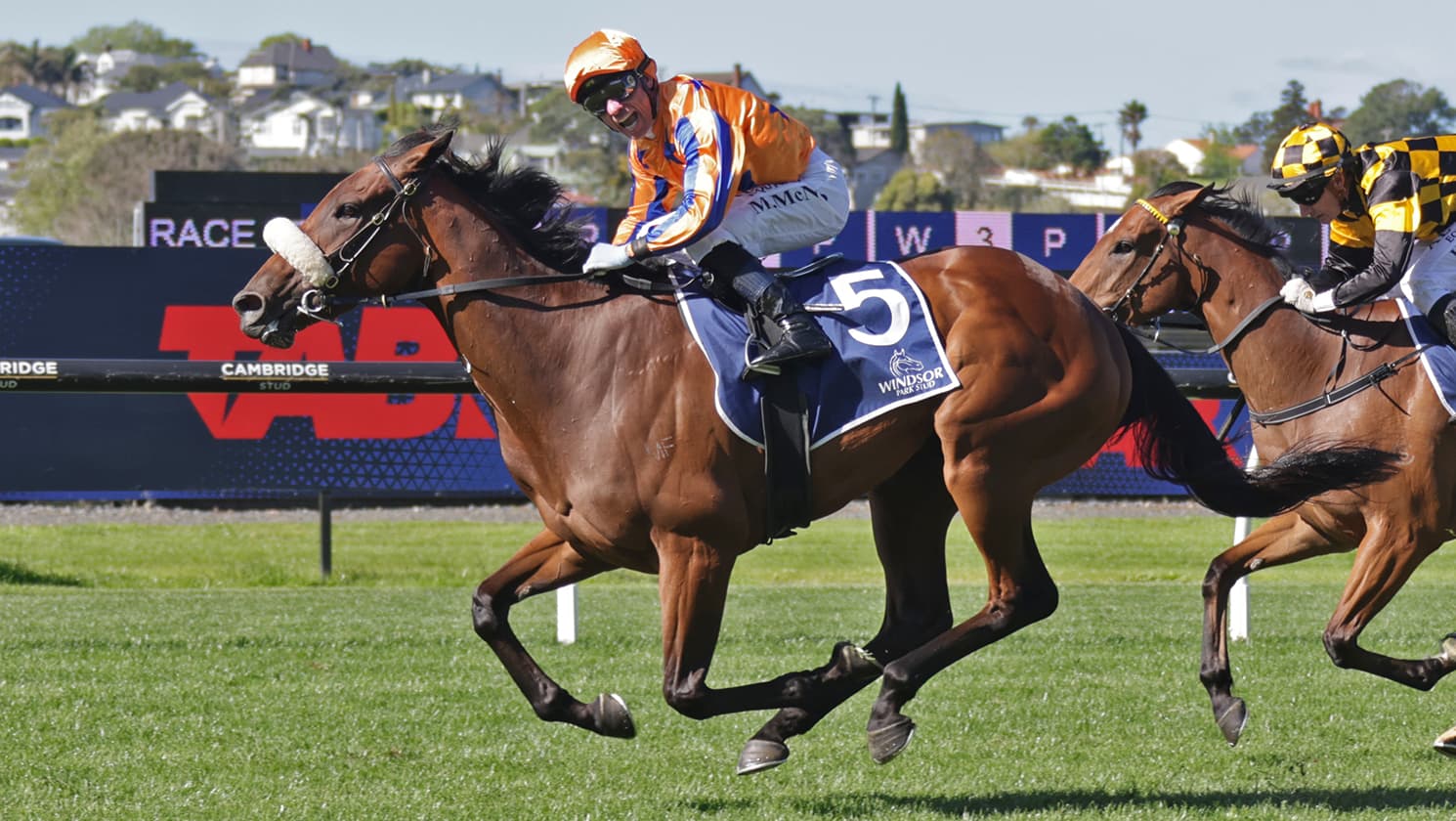 Asturia puts her name into contention for Riccarton fillies feature