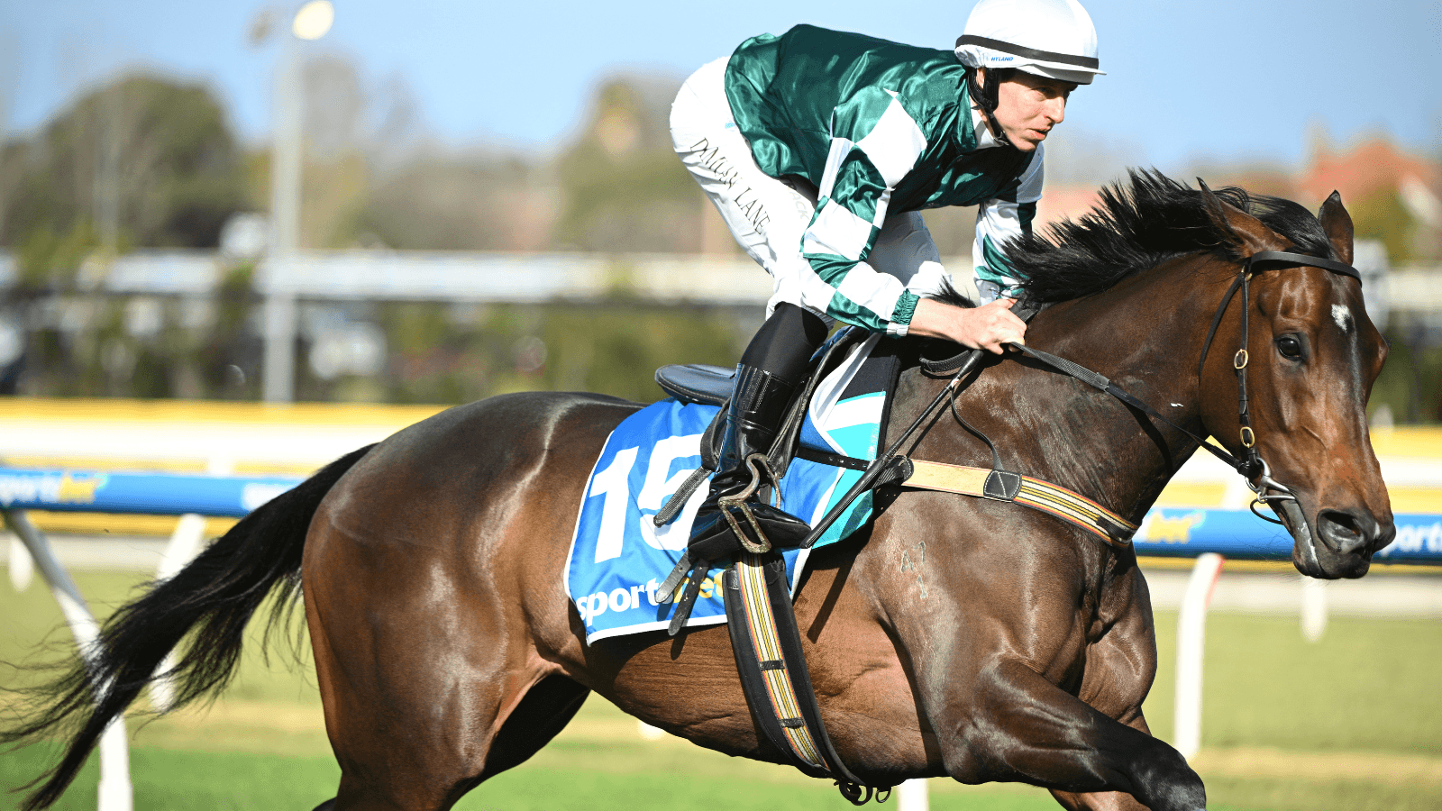 Lane: Why Treasurethe Moment can shock the Memsie field