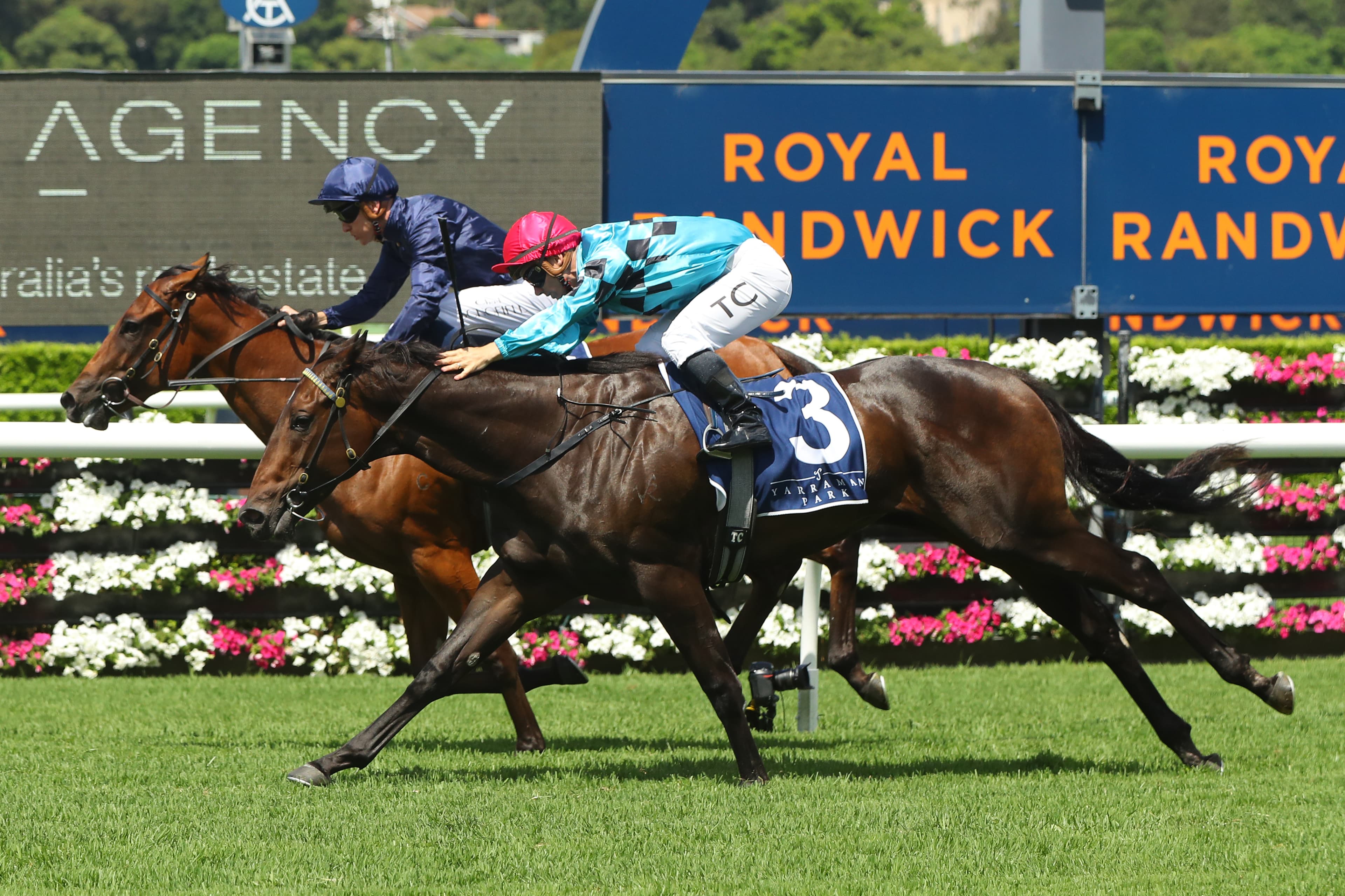 SENTrack: Mick Gannon & Tom Papley's Saturday Sydney Set at Randwick (19/04)