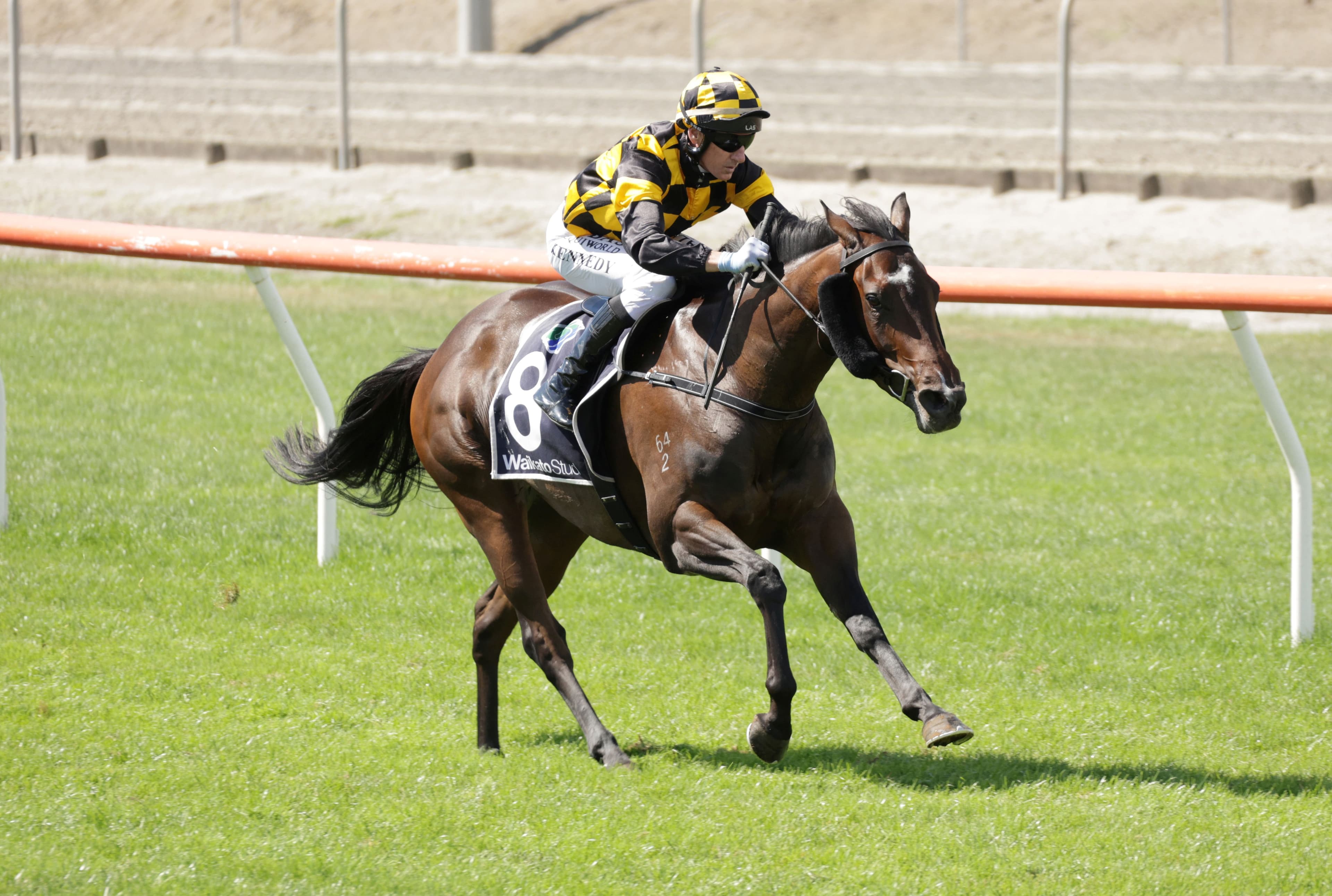 Bright future tipped for Rioja