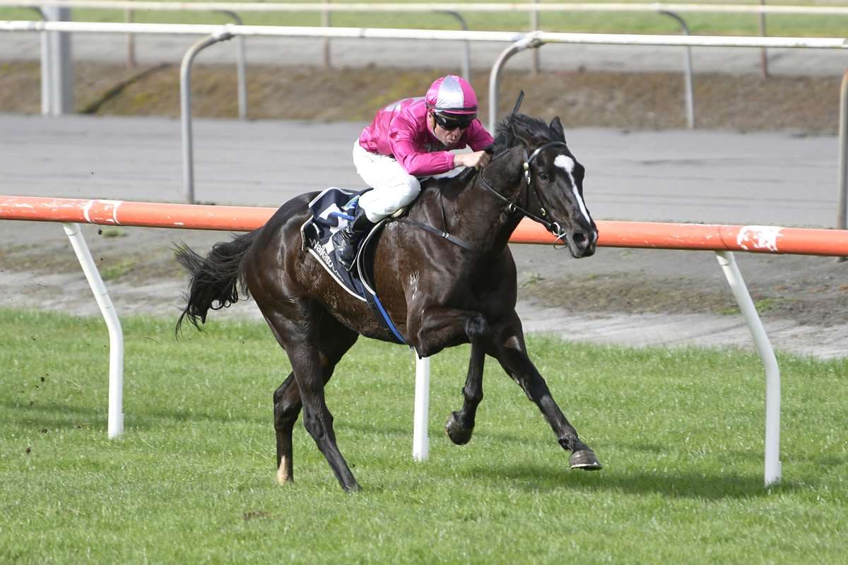 Sarten duo headlines busy weekend for Forsman
