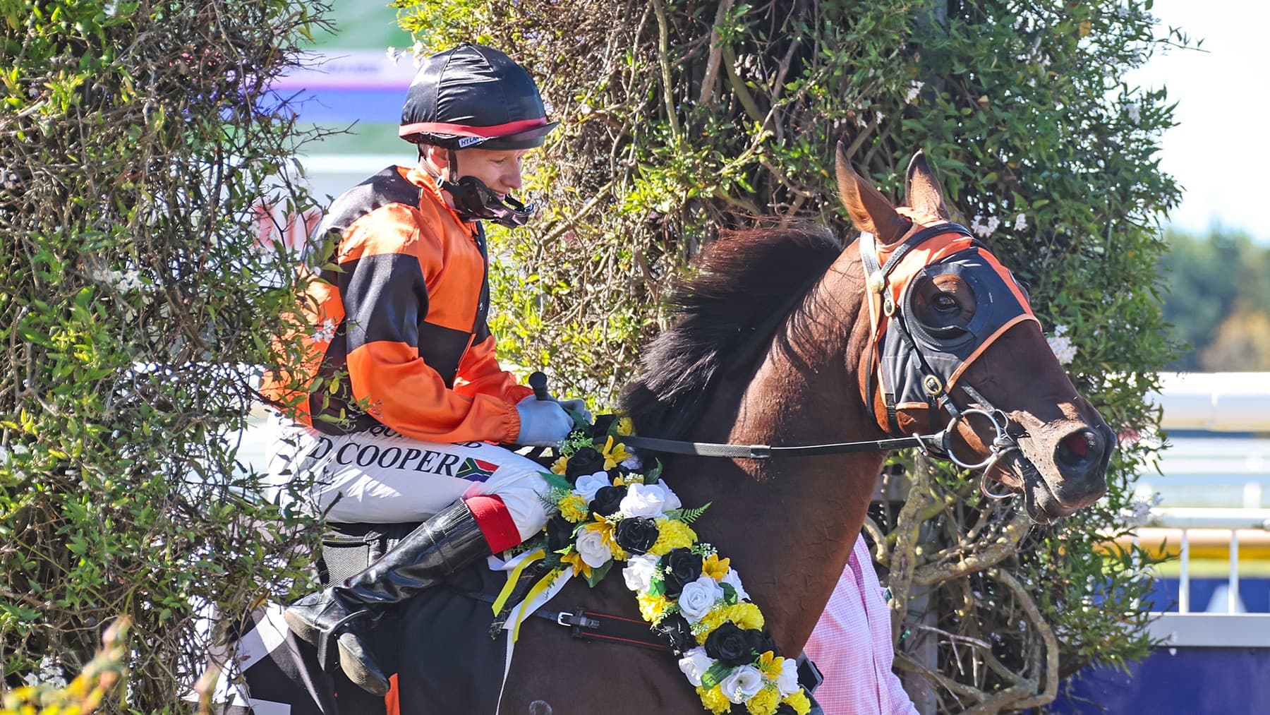Connections eying another crack at winter feature