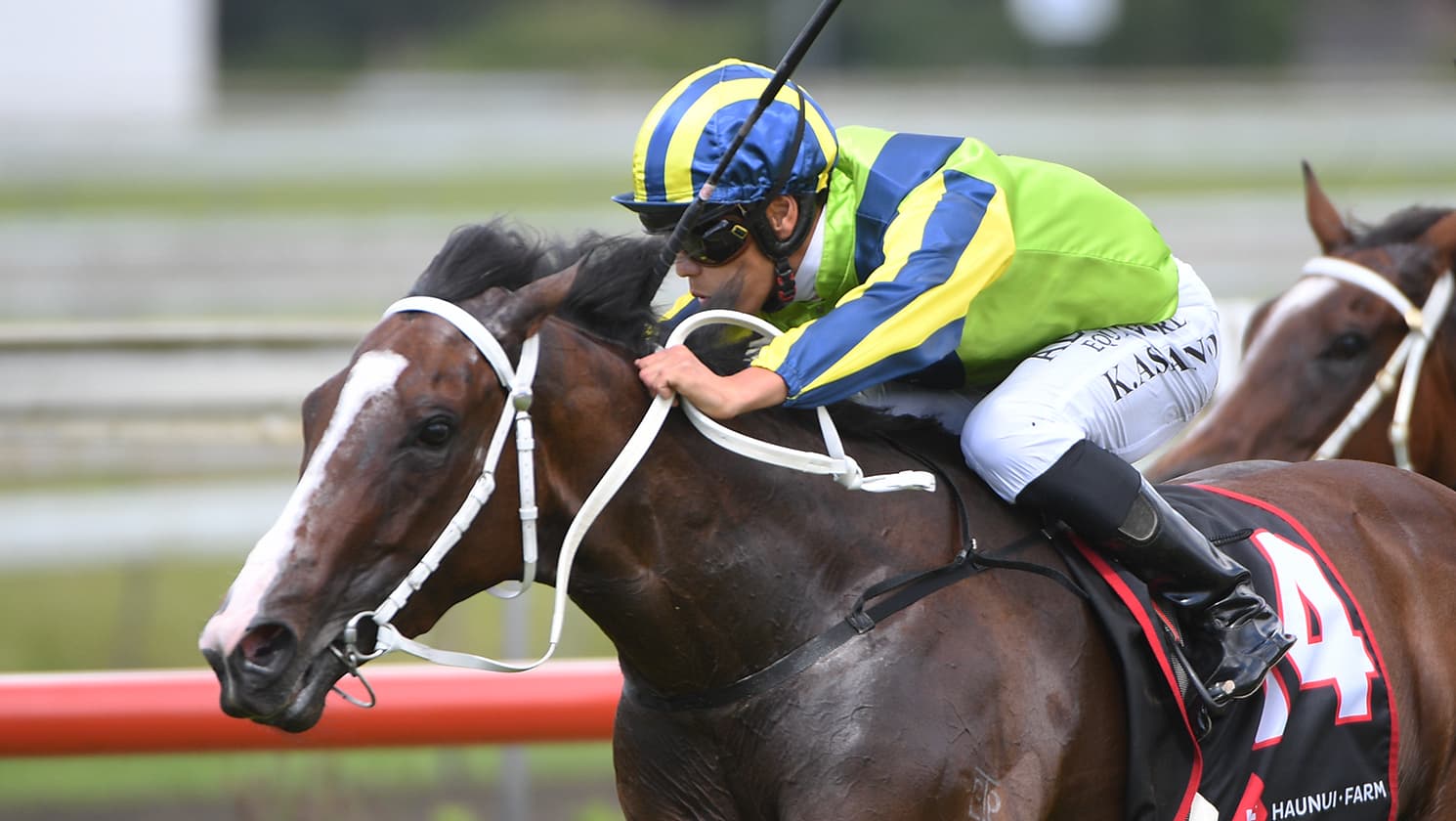 Elsdon stakes double claim at Pukekohe