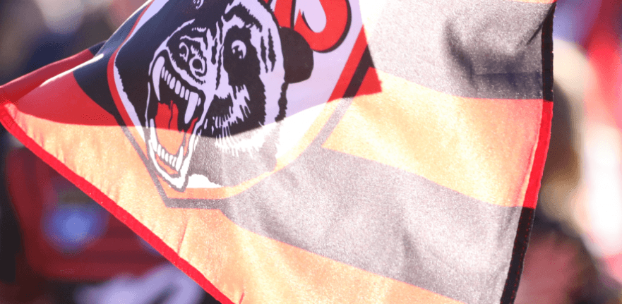 The main candidates and smokey for the Perth Bears job