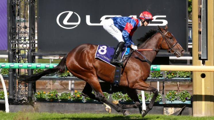 Six-length Flemington romp for Contributer filly