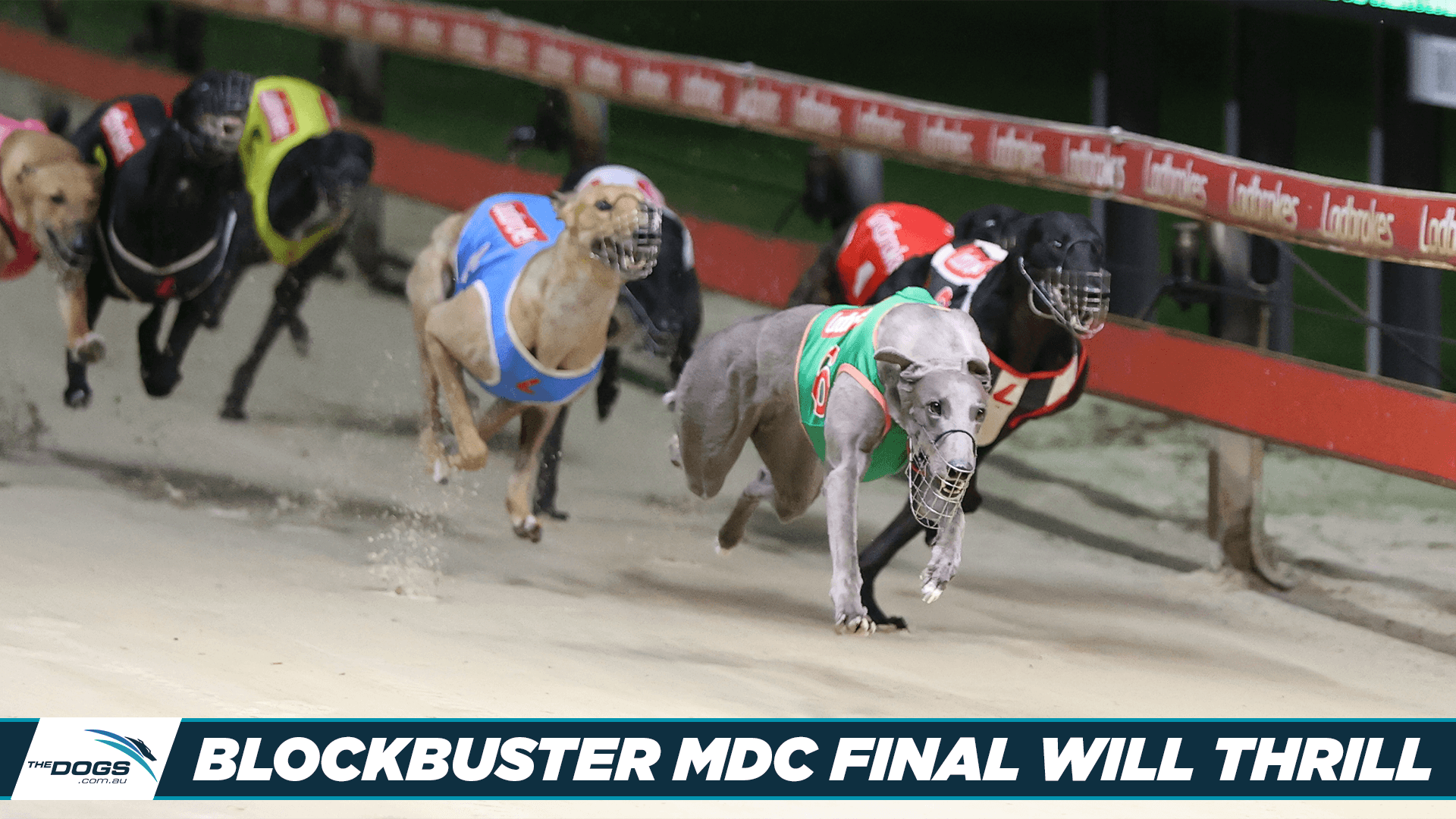 Veteran Faces Rising Star In Million Dollar Chase Showdown